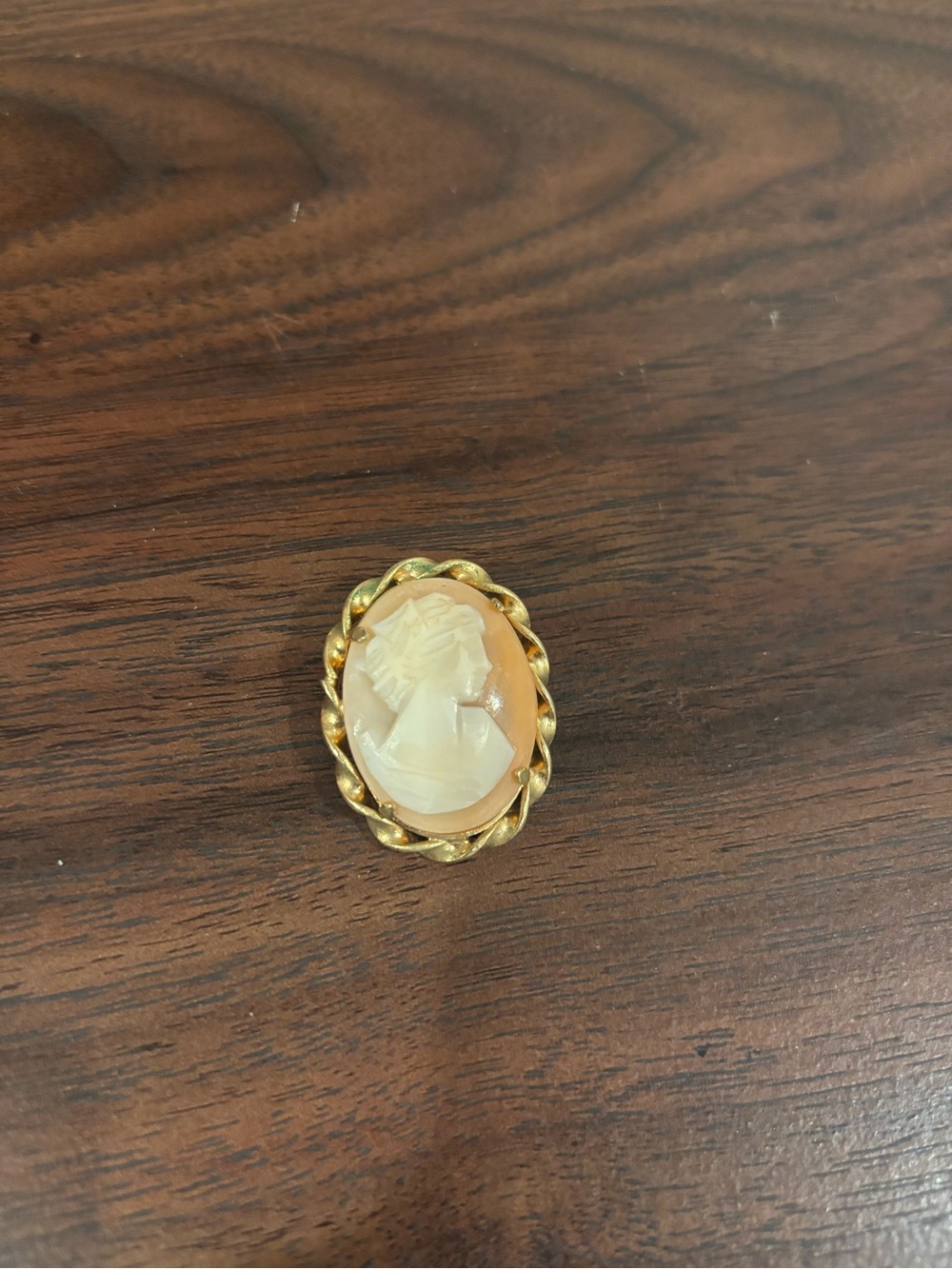 Vintage Gold Toned Cameo Pin